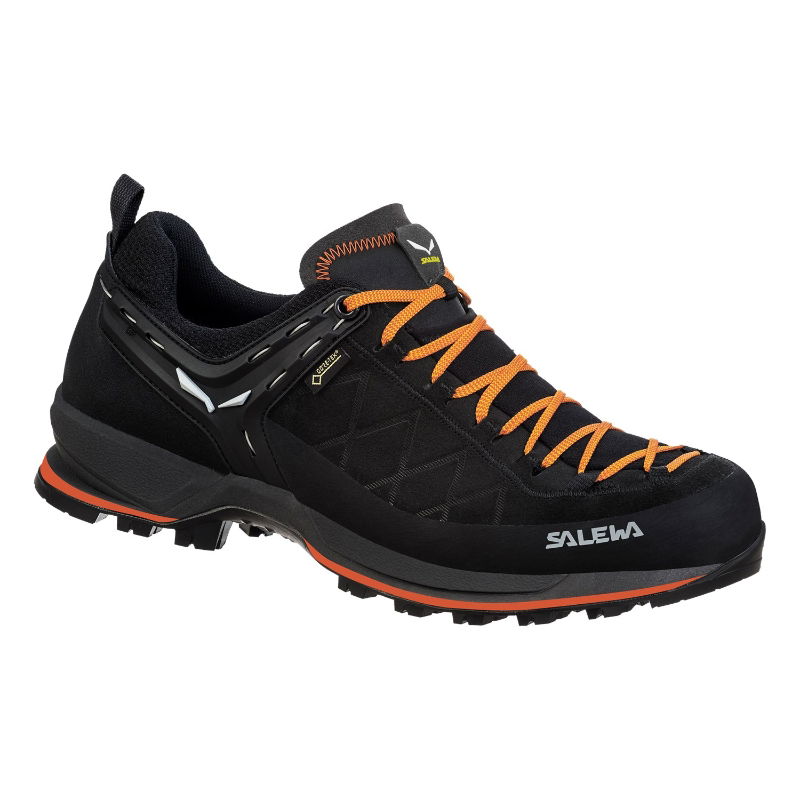 Salewa Men's Mountain Trainer 2 Gore-tex