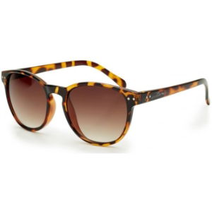 Bloc Jasmin FF1 Shiny Tortoiseshell with Brown Graduated Lenses