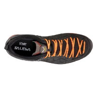 Salewa Men's Mountain Trainer 2 Gore-tex