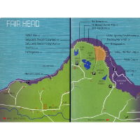 Fair Head coverage