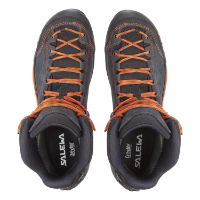 Salewa Men's Mountain Trainer Mid GTX