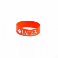 Lattice Extensor Bands