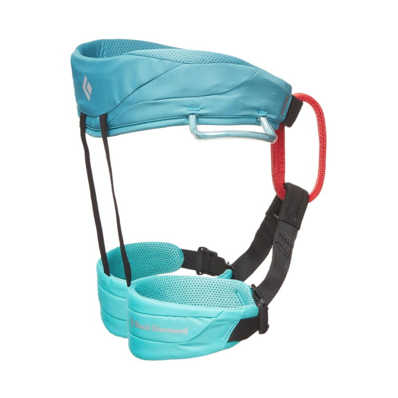 Black Diamond Momentum Kid Harness Saltwater