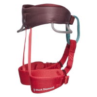 Black Diamond Momentum Kid Harness Wild Rose