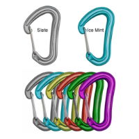 Edelrid Nineteen G Karabiners