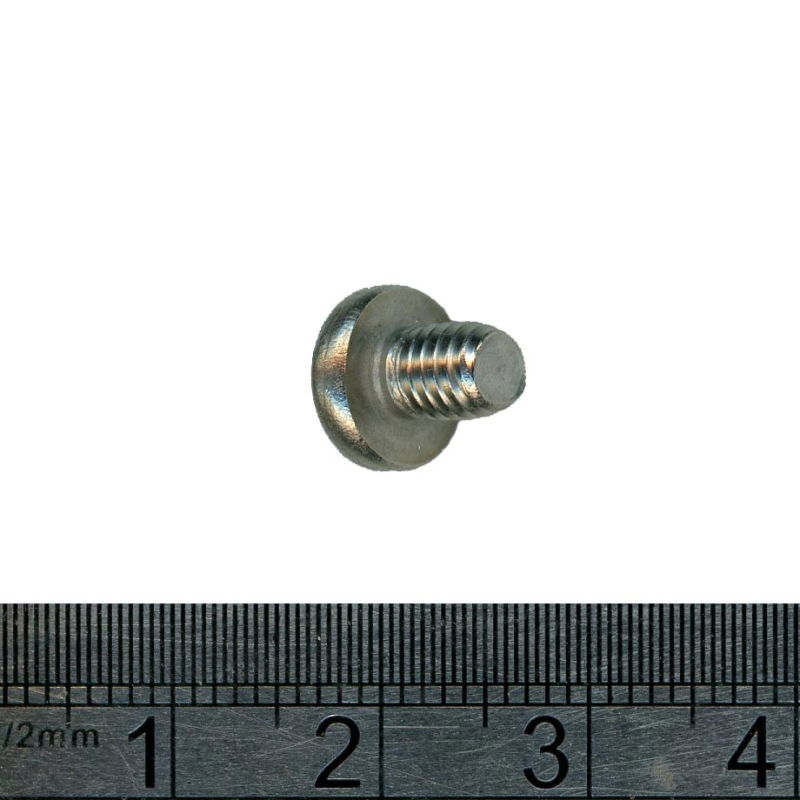 MSR WhisperLite Burner Cap Screw