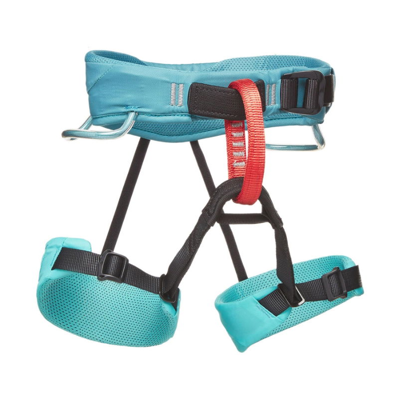 Black Diamond Momentum Kid Harness Saltwater