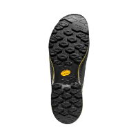 La Sportiva Men's TX4 Evo GTX