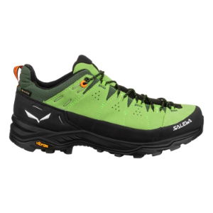 Salewa Men's Alp Trainer 2 GTX