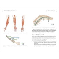 The Science of Climbing Training