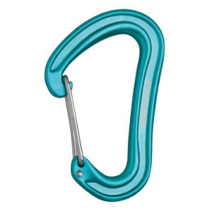 Edelrid Nineteen G Karabiner Icemint