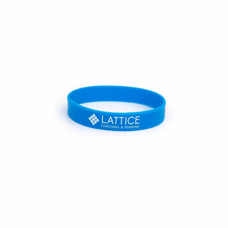 Lattice Extensor Bands