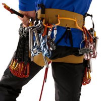 Arc'teryx Men's AR-395A Harness