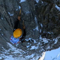 Grivel The North Machine Yellow - Pair Deal!