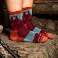 Darn Tough Women's Bear Town Micro Crew Lightweight Hiking Sock (1970)