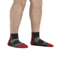 Darn Tough Men's Quarter Lightweight Running Sock (1715)