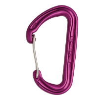 DMM Spectre2 Karabiner Purple