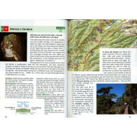 La Palma pages