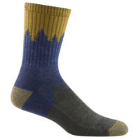 Darn Tough Men's Number 2 Micro Crew Midweight Hiking Sock (1974)