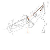Petzl Evolv Adjust