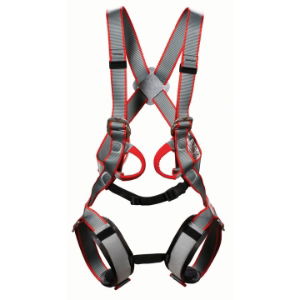 DMM Tom Kitten Child's Harness